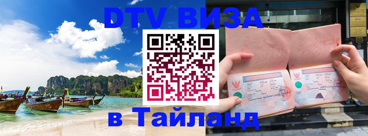Оформление DTV визы под ключ: стоимость и тарифы, только загранпаспорт - 20.11.2025 